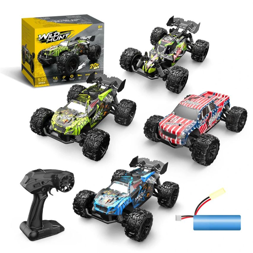 RC Remote Control Car Professional High Speed Buggy Kids Toys
